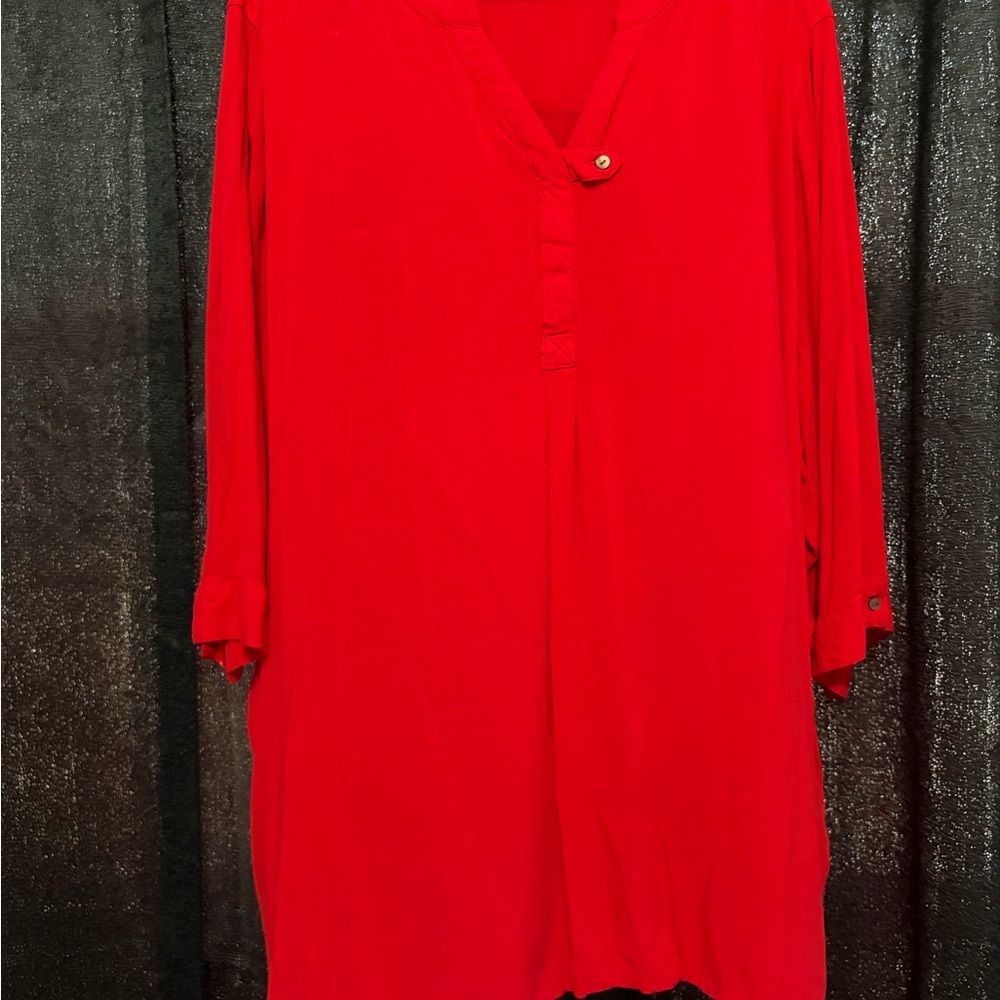 Woman Within Scarlet Blouse